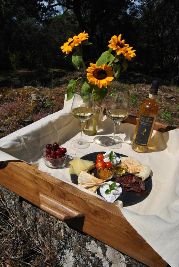 Hotel Pasare Glamping_Anglonaruralexperience Perfugas Exterior foto